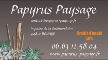 Papyrus Paysage ouvrier artisan